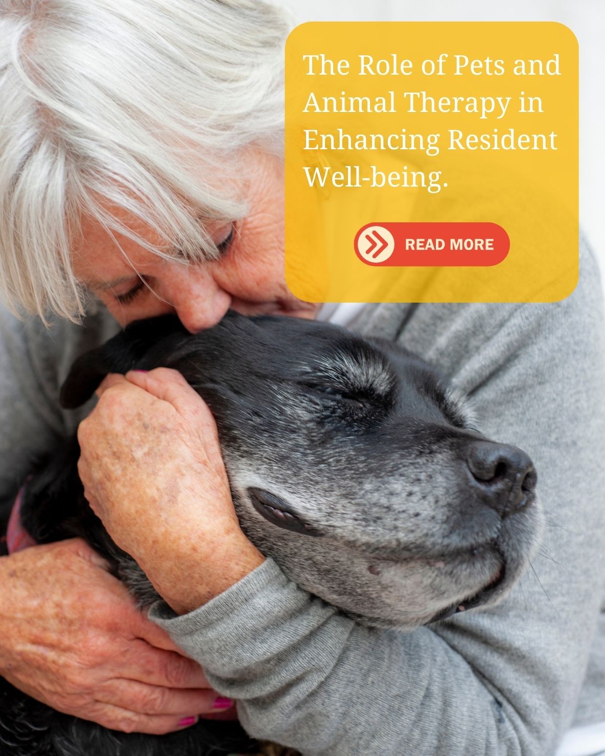 Animal Therapy and Resident Well-being at Shipston Lodge