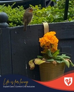 A Special Garden Visitor
